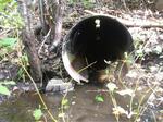 Culvert Crossing, Hamilton Brook, South Berwick, Maine