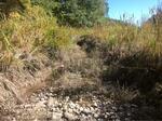 Culvert Crossing, York, Maine