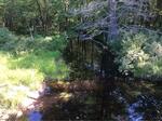 Culvert Crossing, Keay Brook, Berwick, Maine