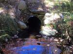 Culvert Crossing, Trib To Salmon Falls River, Acton, Maine