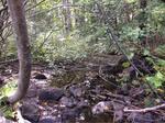 Culvert Crossing, Hill Brook, Kittery, Maine