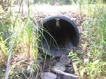 Culvert Crossing, Hill Brook, Kittery, Maine