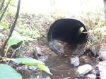 Culvert Crossing, Hill Brook, Kittery, Maine