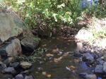 Culvert Crossing, Driscoll Brook, South Berwick, Maine