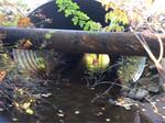Culvert Crossing, Driscoll Brook, South Berwick, Maine