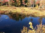 Multiple Culvert Crossing, Great Brook, Lebanon, Maine
