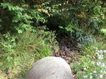Culvert Crossing, Trib To Bog Brook, Lebanon, Maine