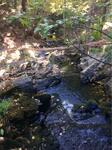 Culvert Crossing, Cider Hill Creek, York, Maine