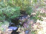Culvert Crossing, Cider Hill Creek, York, Maine
