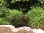 Multiple Culvert Crossing, York, Maine