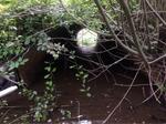 Culvert Crossing, Little River, York, Maine