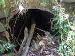 Culvert Crossing, Outlet To Deering Pond, Sanford, Maine