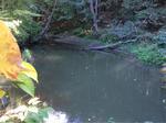 Multiple Culvert Crossing, Goosefare Brook, Old Orchard Beach, Maine