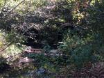 Multiple Culvert Crossing, Goosefare Brook, Old Orchard Beach, Maine