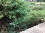 Multiple Culvert Crossing, York, Maine