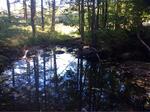 Culvert Crossing, Trib To Little River, Lebanon, Maine