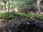Culvert Crossing, Kittery, Maine