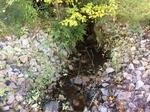 Multiple Culvert Crossing, Trib To Wilson Pond, Acton, Maine