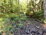 Culvert Crossing, Lebanon, Maine