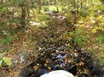 Culvert Crossing, Trib To Salmon Falls River, Acton, Maine