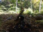 Culvert Crossing, Trib To Salmon Falls River, Acton, Maine