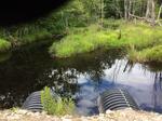 Multiple Culvert Crossing, Batson River, Kennebunkport, Maine
