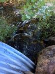 Culvert Crossing, Canes Brook, Sanford, Maine