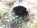 Culvert Crossing, Trib To Spinney Creek, Eliot, Maine