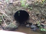 Culvert Crossing, Trib To Spinney Creek, Eliot, Maine
