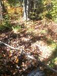 Culvert Crossing, Trib To Salmon Falls River, Lebanon, Maine