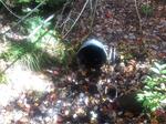 Culvert Crossing, Trib To Salmon Falls River, Lebanon, Maine