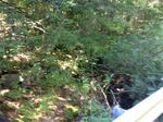 Culvert Crossing, Trib To Little River, Sanford, Maine