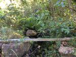 Culvert Crossing, Trib To Little River, Sanford, Maine