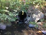 Culvert Crossing, Trib To Little River, Sanford, Maine