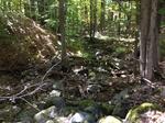 Culvert Crossing, Trib To Salmon Falls River, Acton, Maine