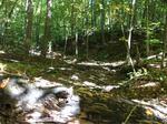 Culvert Crossing, Trib To Salmon Falls River, Acton, Maine