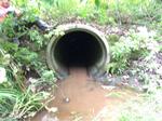 Culvert Crossing, Beaver Pond Brook, Kennebunkport, Maine
