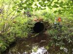 Culvert Crossing, Beaver Pond Brook, Kennebunkport, Maine