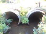 Multiple Culvert Crossing, Beaver Pond Brook, Kennebunkport, Maine