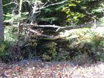 Culvert Crossing, Trib To Salmon Falls River, Lebanon, Maine