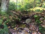 Culvert Crossing, Trib To Salmon Falls River, Lebanon, Maine