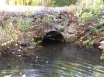 Culvert Crossing, Trib To Salmon Falls River, Lebanon, Maine