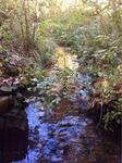 Culvert Crossing, Trib To Salmon Falls River, Lebanon, Maine