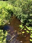 Culvert Crossing, Green Brook, Wells, Maine