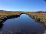 Culvert Crossing, Stevens Brook, Wells, Maine