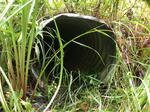 Culvert Crossing, Shapleigh, Maine