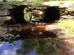 Multiple Culvert Crossing, Lebanon, Maine