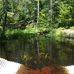 Culvert Crossing, North Berwick, Maine