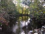 Culvert Crossing, Goosefare Brook, Saco, Maine