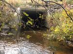 Culvert Crossing, Goosefare Brook, Saco, Maine